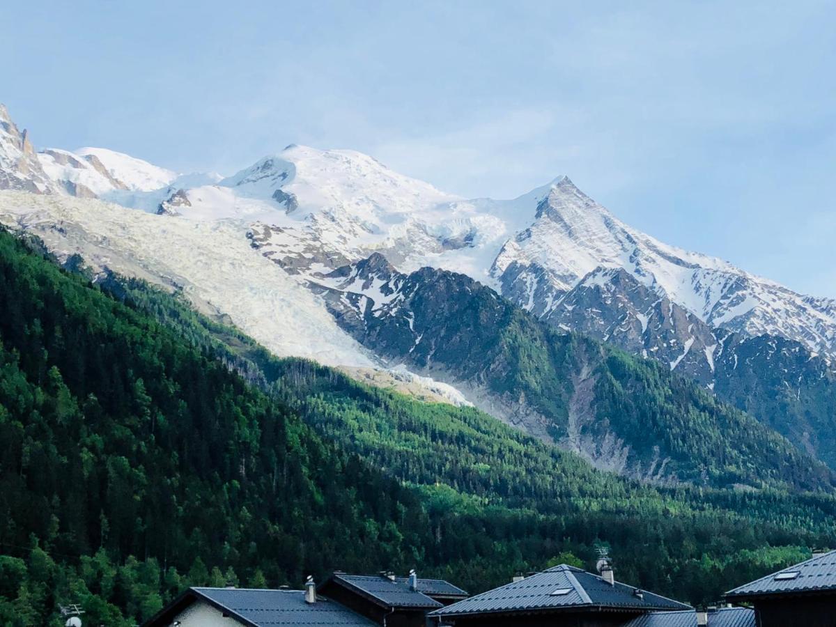 Ferienwohnung Mont Blanc 43, Vue Mont Blanc , Balcon, Parking Chamonix Exterior foto