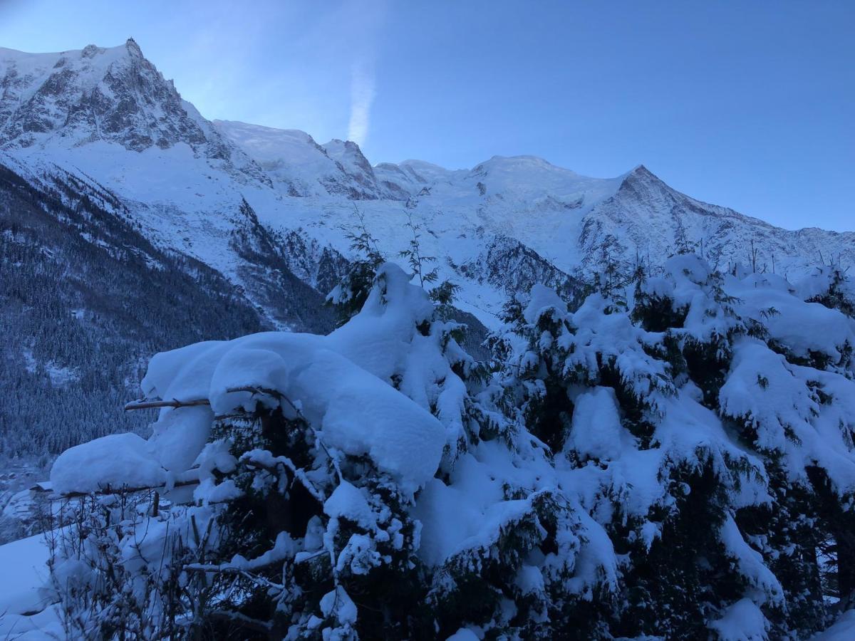Ferienwohnung Mont Blanc 43, Vue Mont Blanc , Balcon, Parking Chamonix Exterior foto